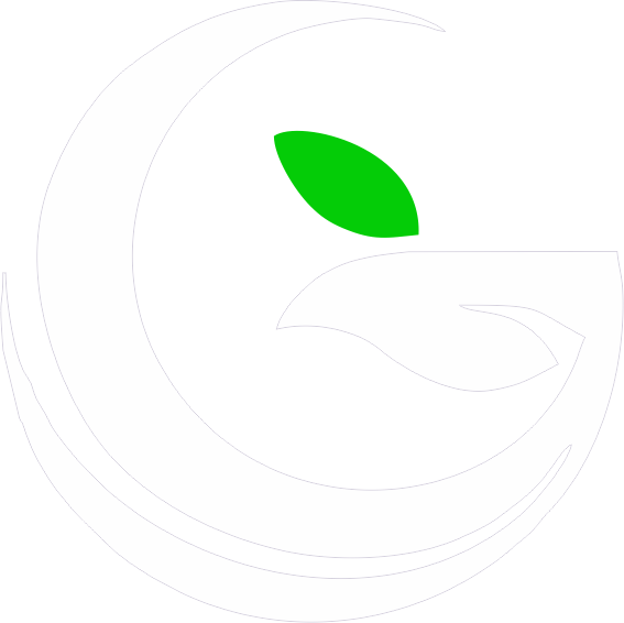G Square Logo